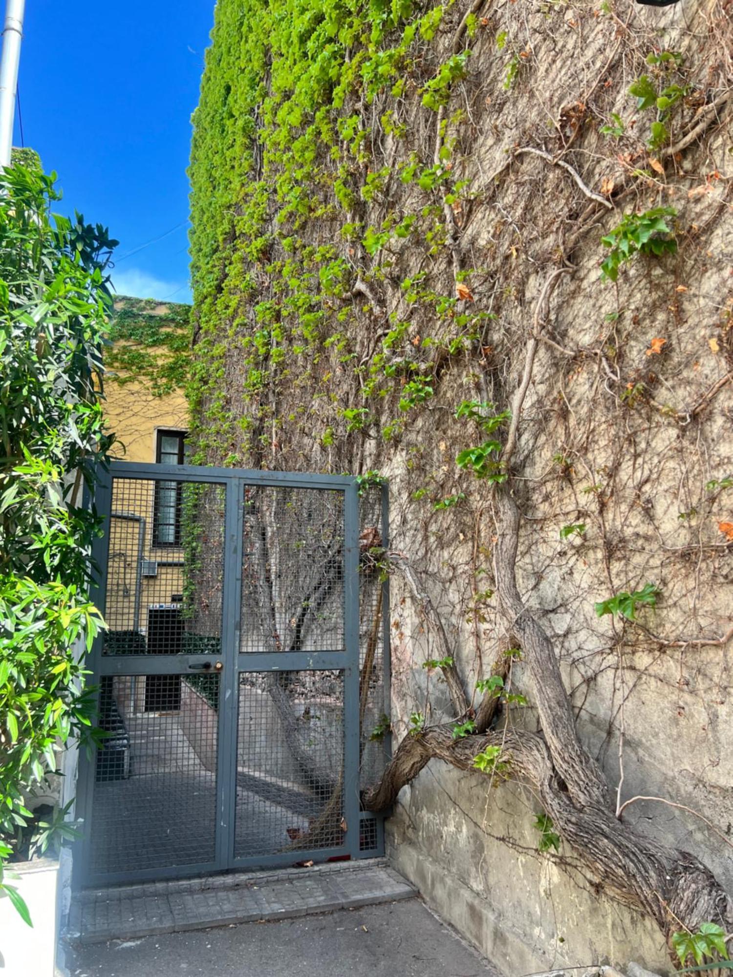 קטאניה Etnea Palace מראה חיצוני תמונה