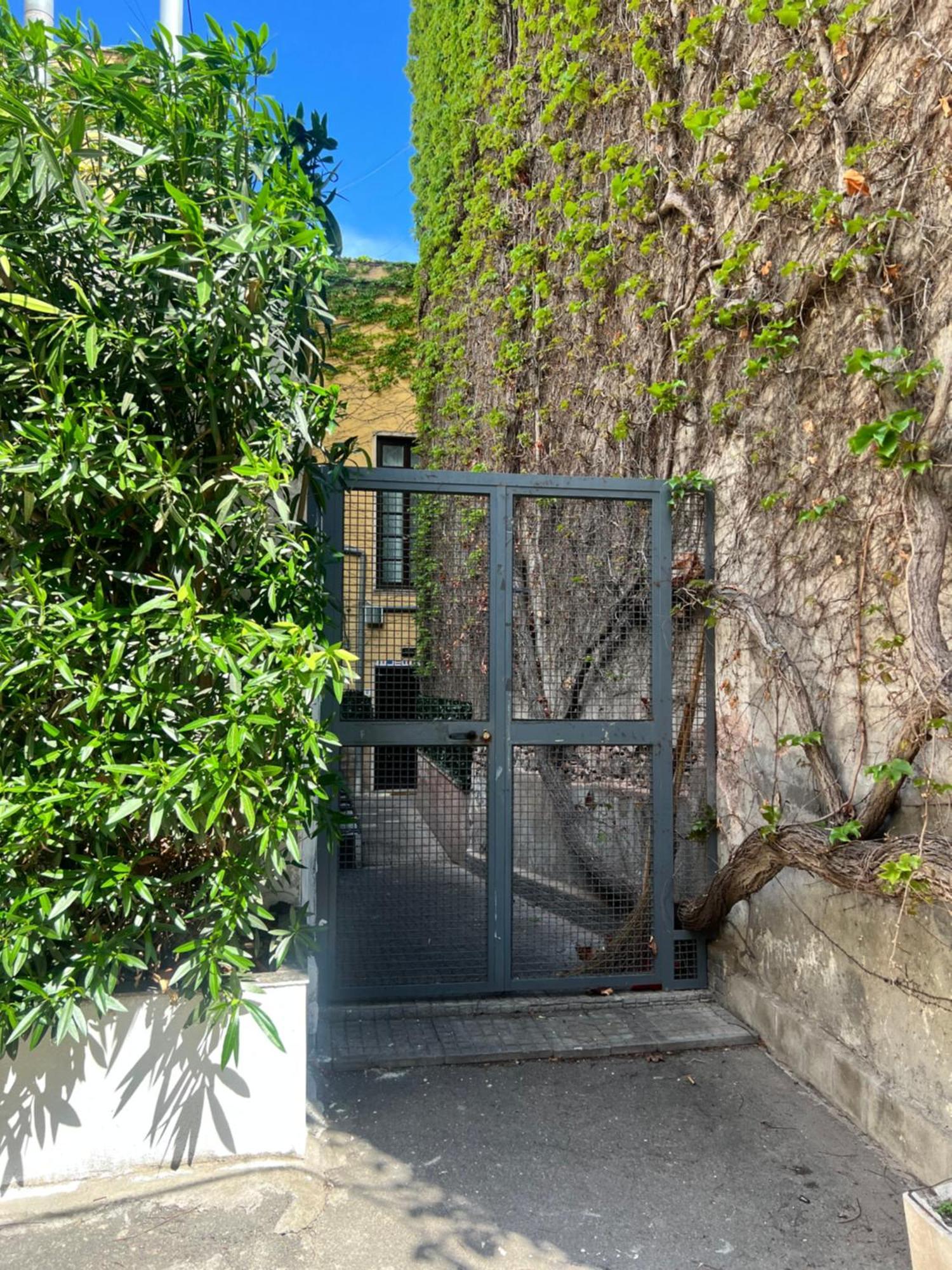 קטאניה Etnea Palace מראה חיצוני תמונה